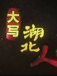 大写湖北人[2019]