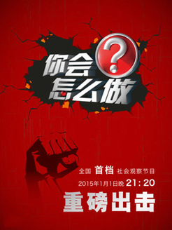 你会怎么做[2019]