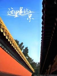 这里是北京[2019]
