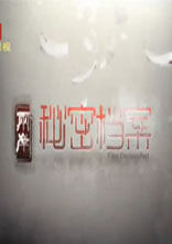 两岸秘密档案[2019]