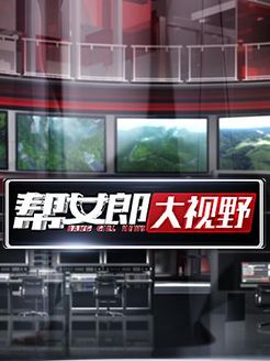 帮女郎大视野[2019]