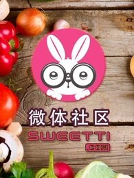 微体兔 家常菜品[2019]