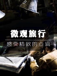 微观旅行[2018]