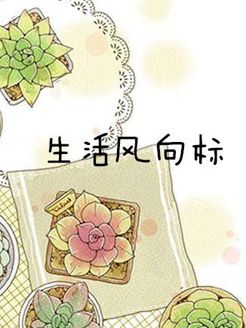 生活风向标