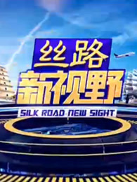 丝路新视野[2018]