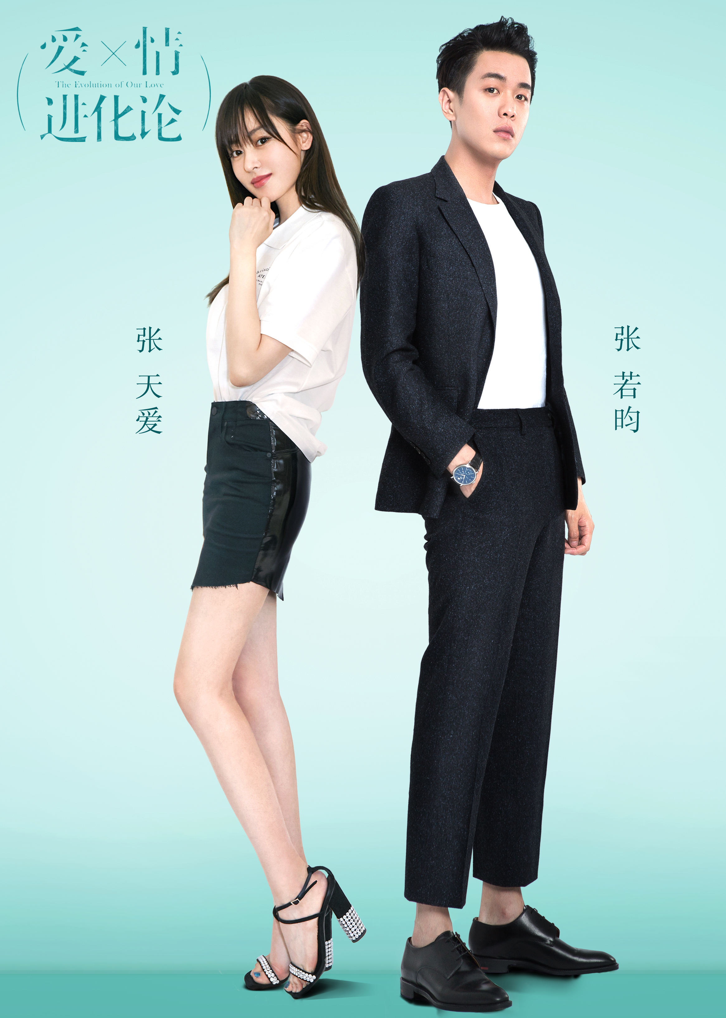爱情进化论 DVD版
