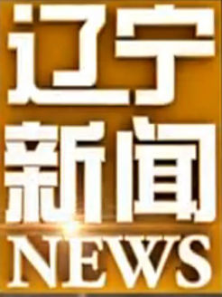 辽宁新闻[2018]