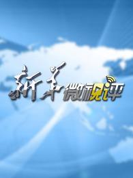 新华微视评[2018]