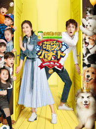 萌宠小大人[2017]