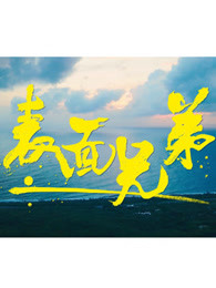 表面兄弟[2017]