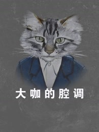 大咖的腔调[2017]