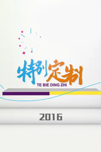 特别定制[2017]