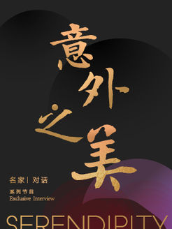 意外之美[2017]