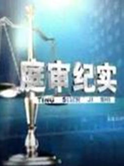 庭审纪实[2017]