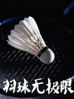 羽球无极限