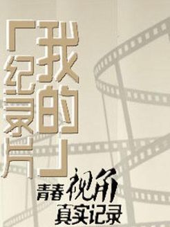 我的纪录片[2017]