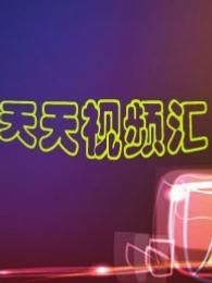 天天视频汇[2017]