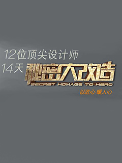 秘密大改造 电视台版