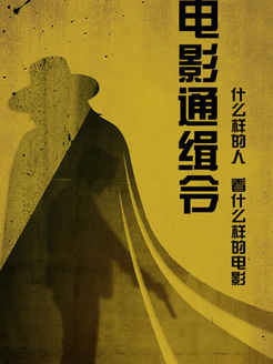 电影通缉令[2017]