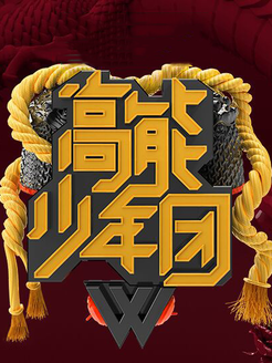 高能少年团[2017]