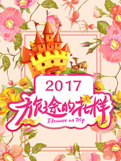 旅途的花样[2017]