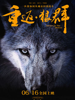 重返·狼群