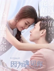 因为遇见你 未删减版