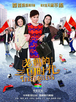 老妈的三国时代 未删减版