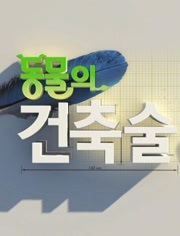 KBS:动物的建筑术