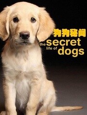 BBC:狗狗秘闻
