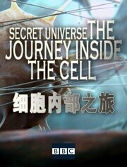 细胞内部之旅