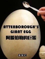 大卫·爱登堡的巨蛋