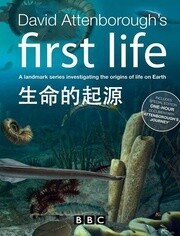 BBC:生命的起源