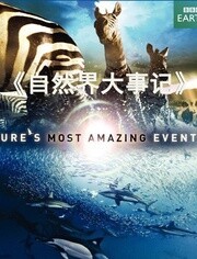 BBC:自然界大事件
