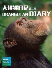 大猩猩日记第2部