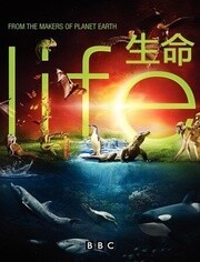 BBC:生命