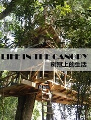 BBC:树冠上的生活