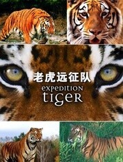 BBC:老虎远征队