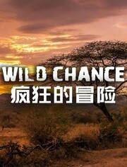 BBC:疯狂的冒险