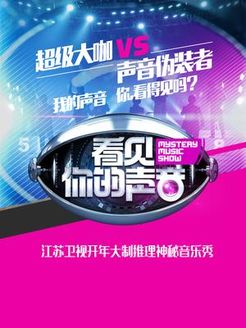 看见你的声音 内地版