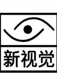 新视觉