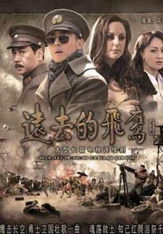 远去的飞鹰