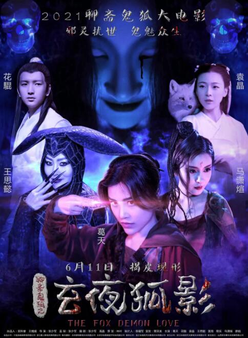 玄夜狐影