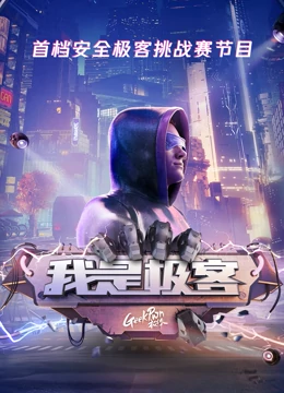 我是极客