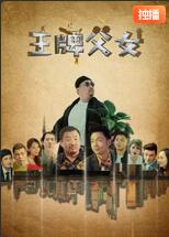 王牌父女海报剧照