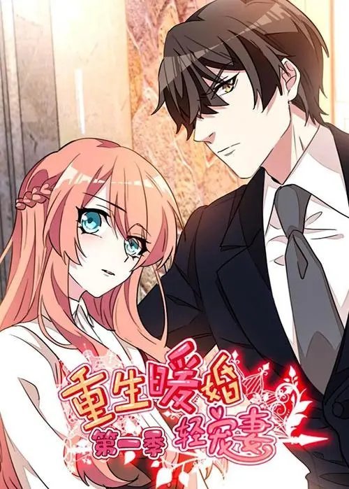重生暖婚轻宠妻第1季