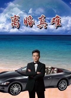 离婚真难