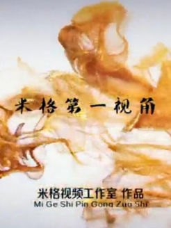 米格第一视角[2017]