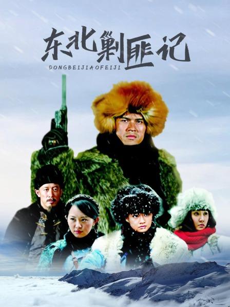 东北剿匪记
