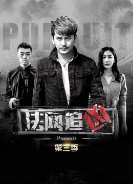 法网追凶第3季